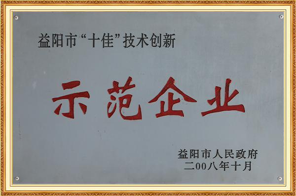 荣获益阳市“十佳”技术创新示范企业2008年10月