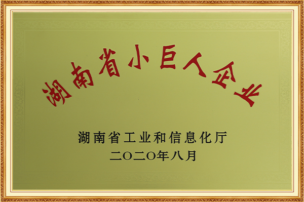 湖南省小巨人企业2020年8月