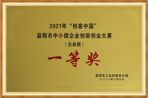 益阳市中小微企业创新创业大赛（企业组）一等奖2021年8月6日